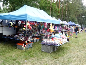 III Piknik Nieborowski, 